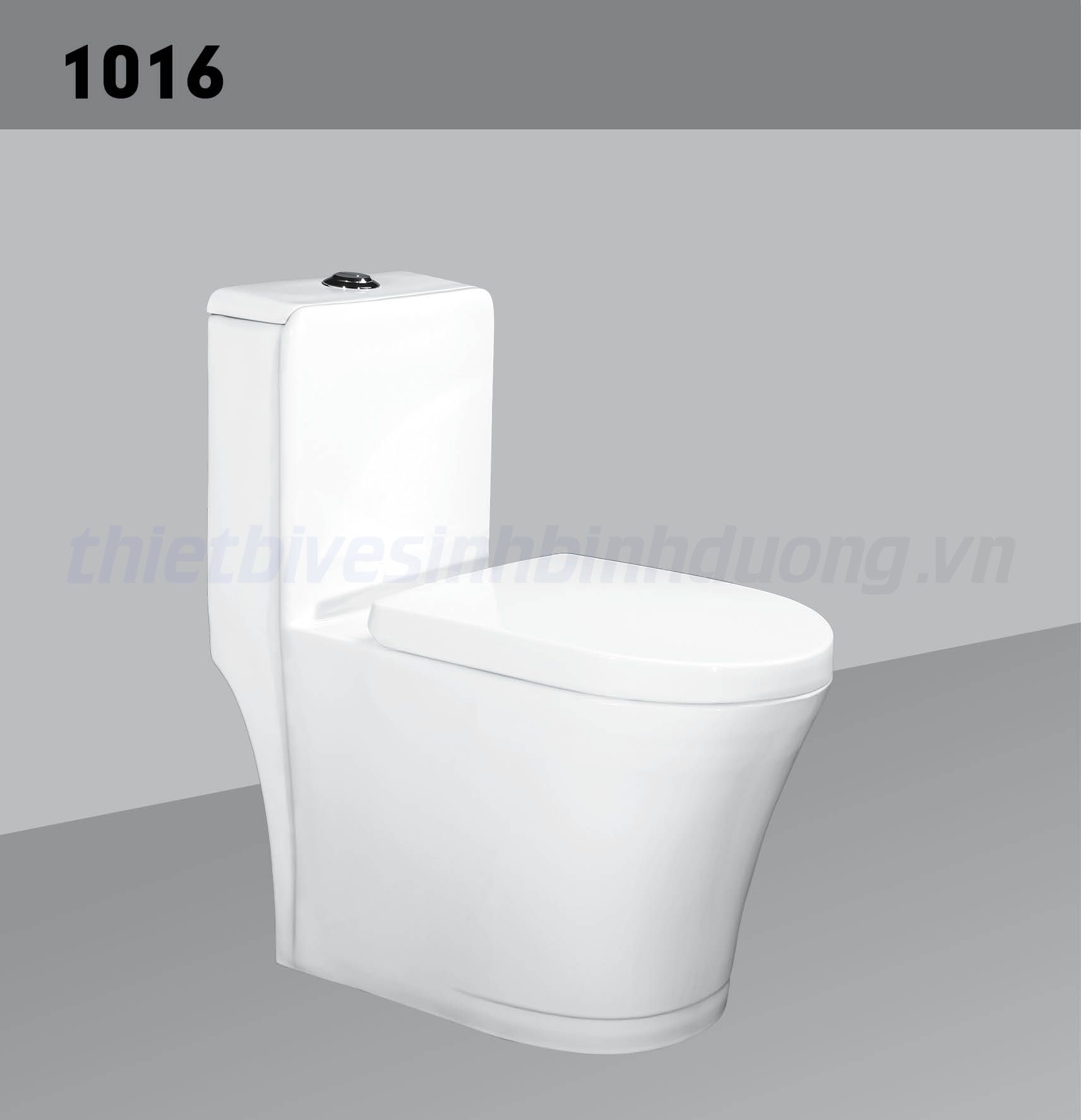 Bồn cầu sứ Hảo Cảnh HC 1016
